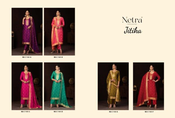 296815 Netra Jitika