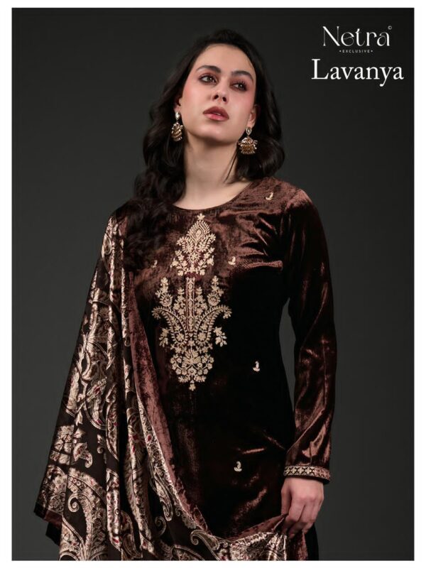 376866 Netra Lavanya