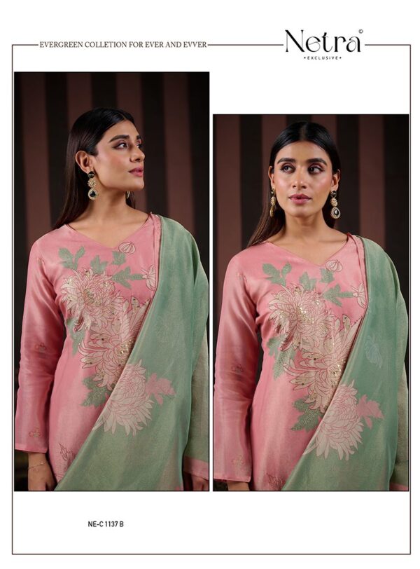 1000798355 Netra Silk Top Modal Silk Dupatta Unstitched Suits