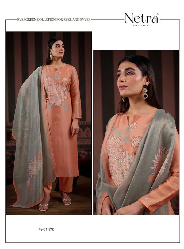 1000798356 Netra Silk Top Modal Silk Dupatta Unstitched Suits