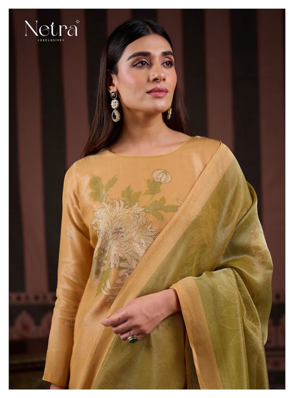 1000798359 Netra Silk Top Modal Silk Dupatta Unstitched Suits