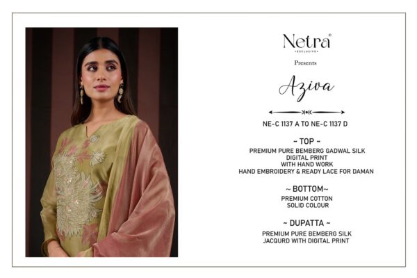 1000798361 Netra Silk Top Modal Silk Dupatta Unstitched Suits