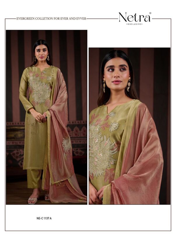 1000798362 Netra Silk Top Modal Silk Dupatta Unstitched Suits