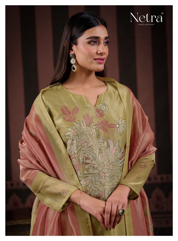 1000798363 Netra Silk Top Modal Silk Dupatta Unstitched Suits